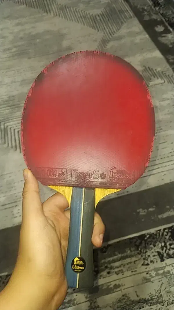 راکت پینگ پنگ|ورزشهای توپی|محمدیه-قزوین, |دیوار