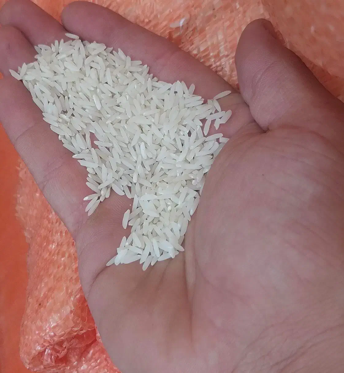فروش برنج هاشمی طارم|خوردنی و آشامیدنی|رشت, دیلمان|دیوار