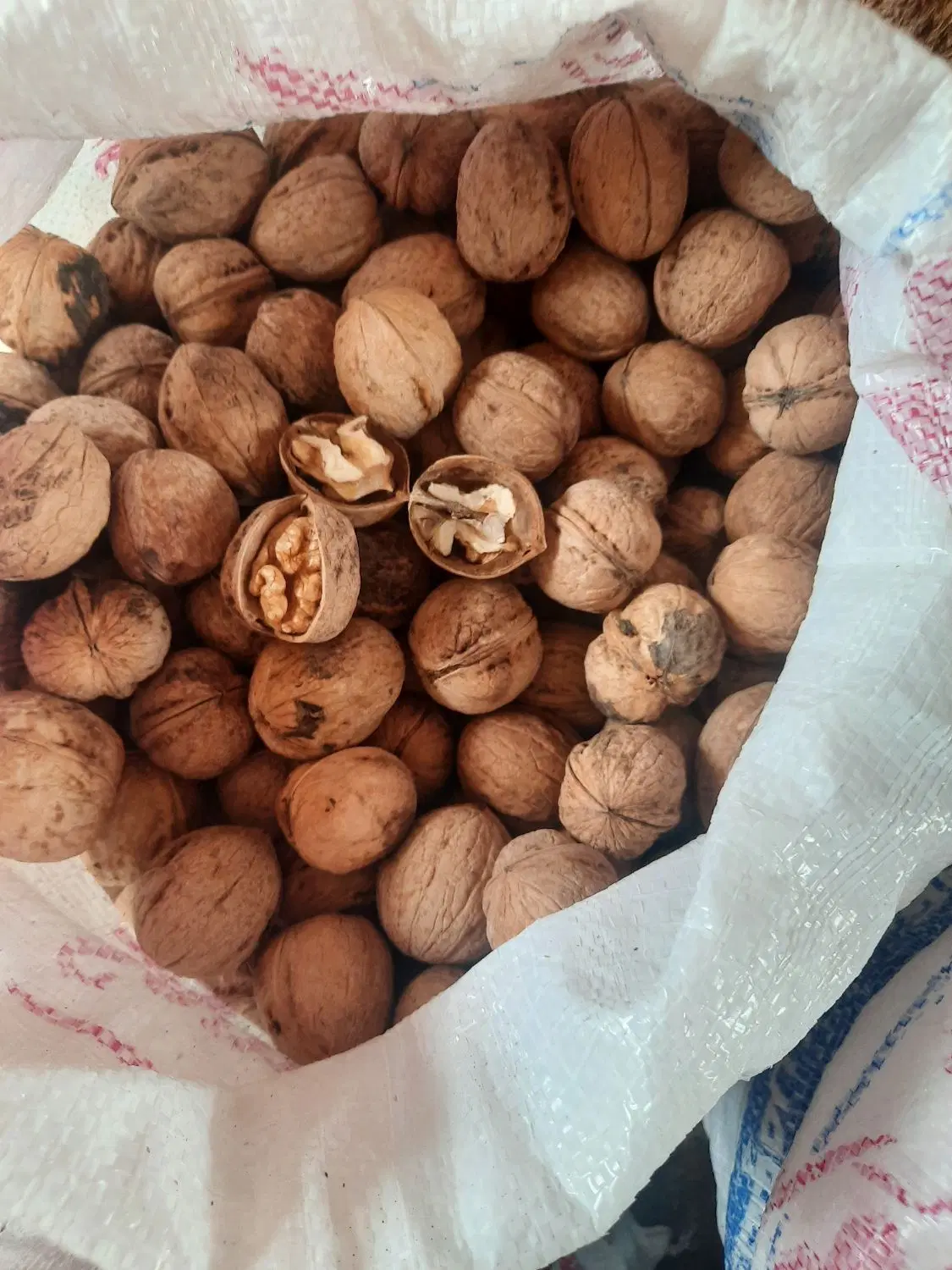 گردو|خوردنی و آشامیدنی|چترود, |دیوار