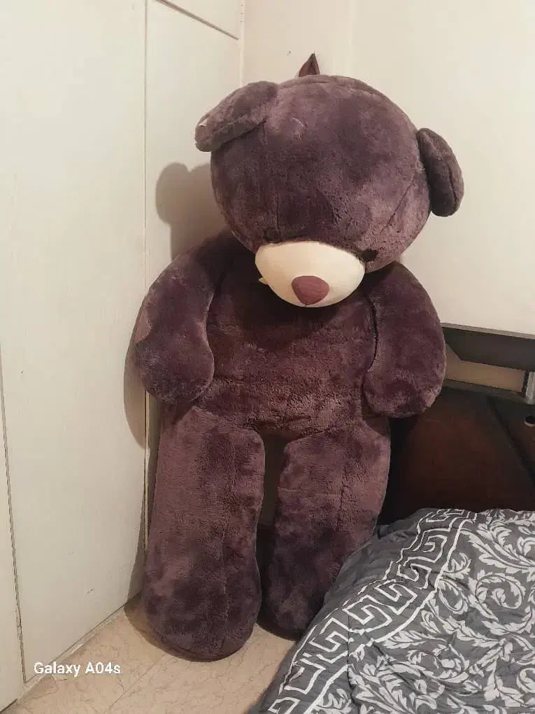 آیینه قدی|آینه|تهران, ابوذر|دیوار