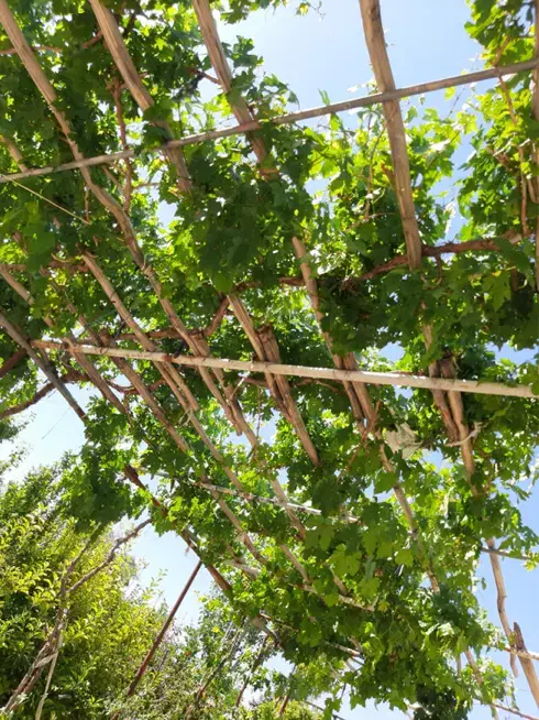 خانه گاریزات|فروش خانه و ویلا|گاریزات, |دیوار