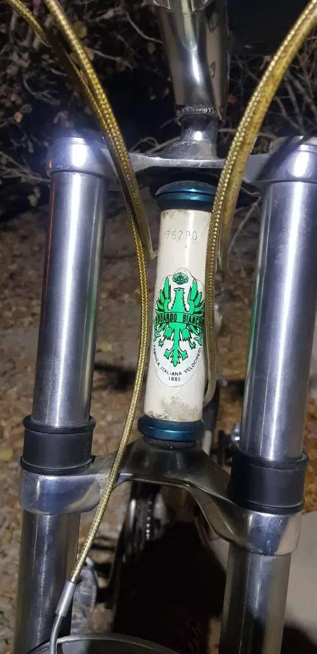 دوچرخه سایز26 بیانچی ایتالیا|دوچرخه، اسکیت، اسکوتر|ری, علایین|دیوار