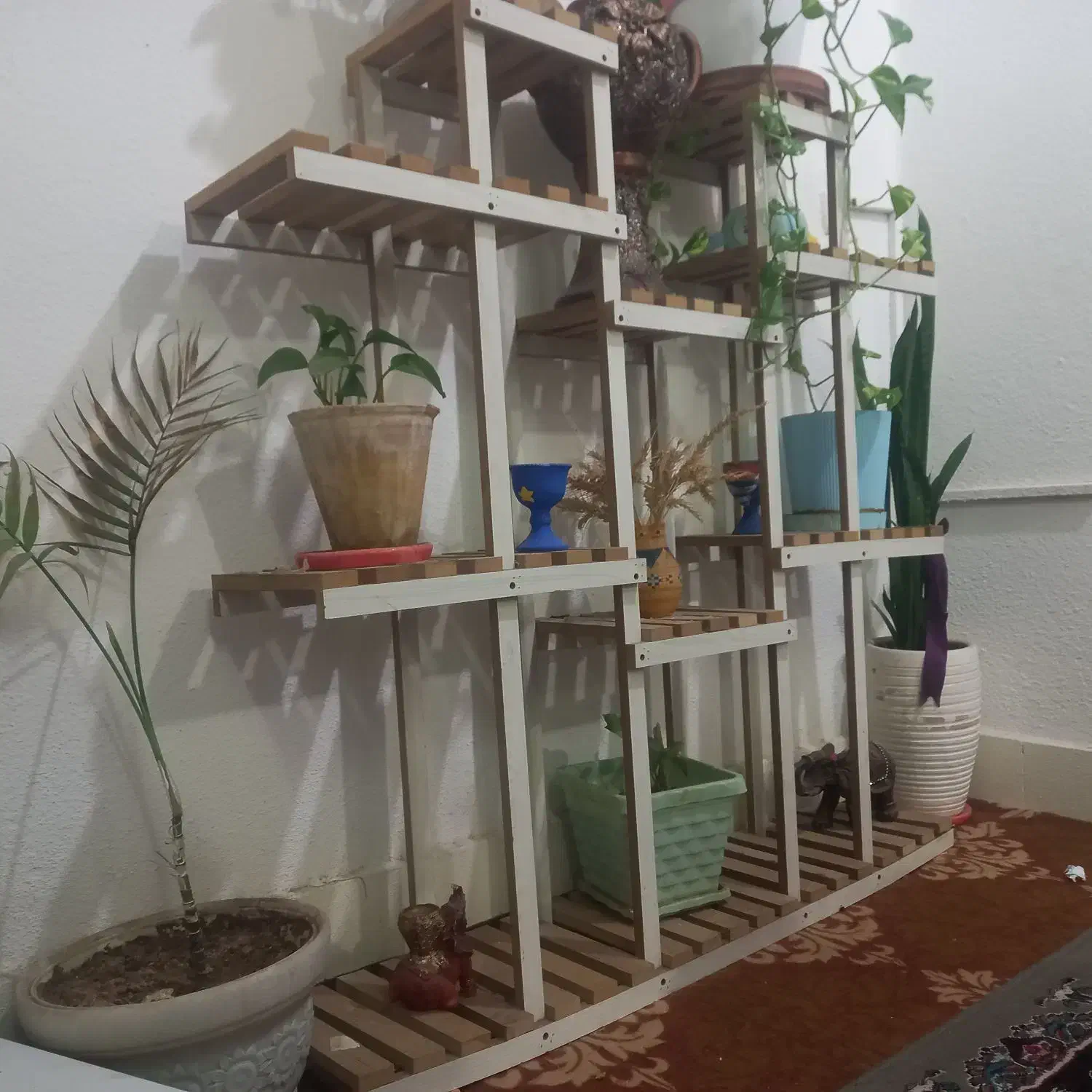 استند چوبی|کتابخانه، شلف، قفسه‌های دیواری|شیراز, باغ تخت|دیوار