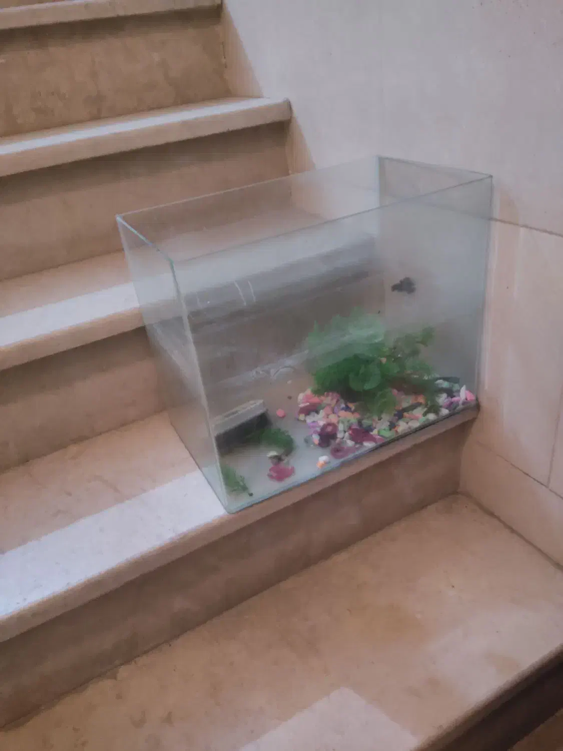 شیشه آکواریوم خم،سالم|ماهی|کرج, مصباح|دیوار