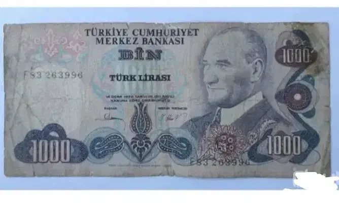 لیر قدیمی ترکیه|کلکسیون سکه، تمبر، اسکناس|گرگان, |دیوار