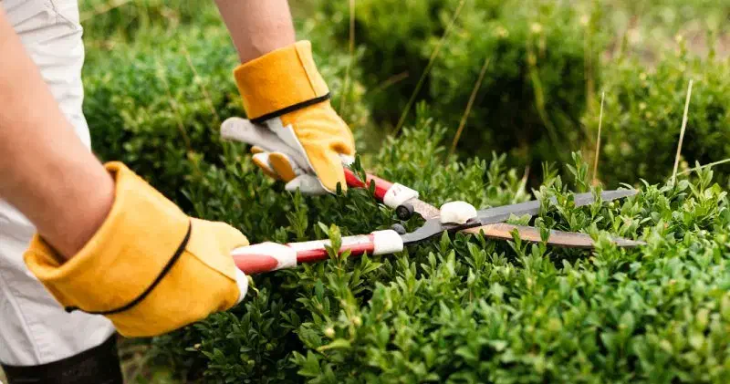 سرایدار ی و باغبانی هرکدام شهر باشه انجام میدهم|استخدام سرایداری و نظافت|فیرورق, |دیوار