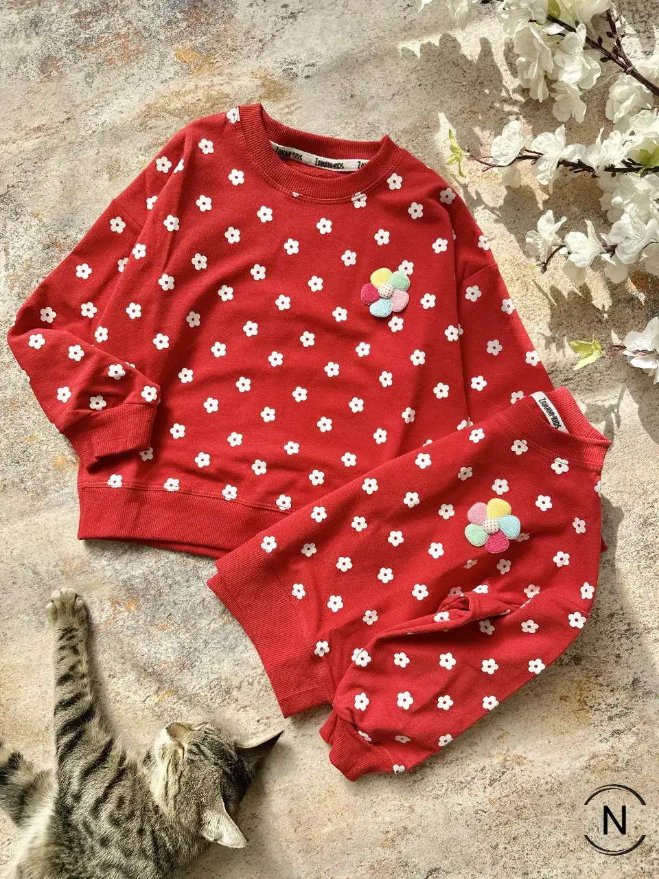 یلدا را با پوشاک امین تجربه کنید|لباس|نیشابور, امام|دیوار