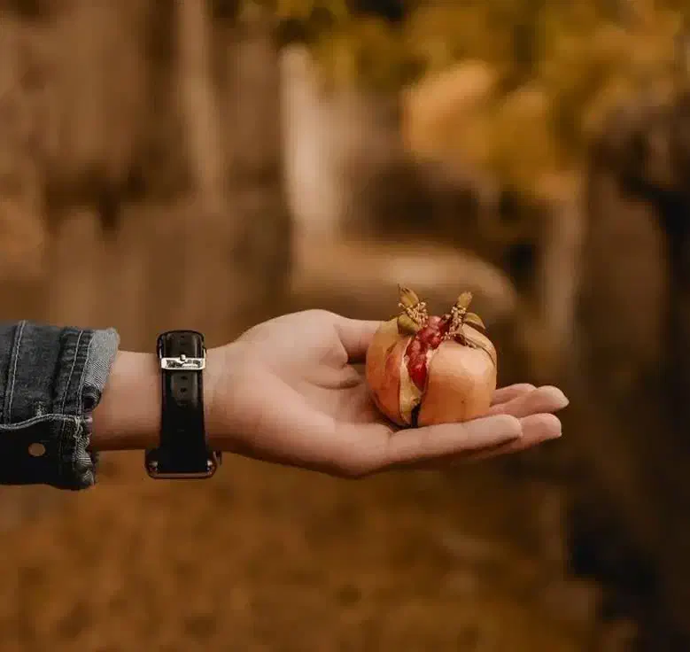 راهنمایی برا شکر گزاری|فعالیت داوطلبانه|ملک‌آباد, |دیوار