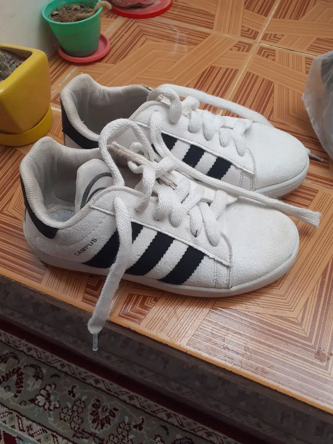 کفش نو|کفش و لباس بچه|مرودشت, ثبت احوال|دیوار