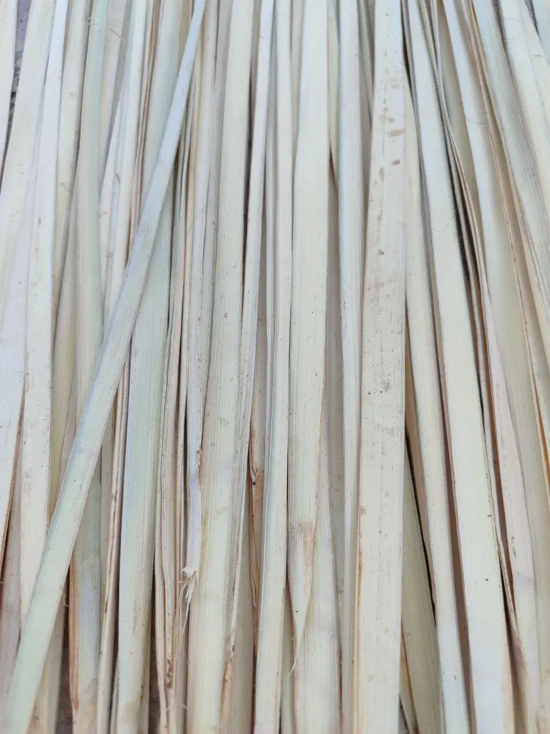 پیش دل|عمده‌فروشی|آبپخش, |دیوار