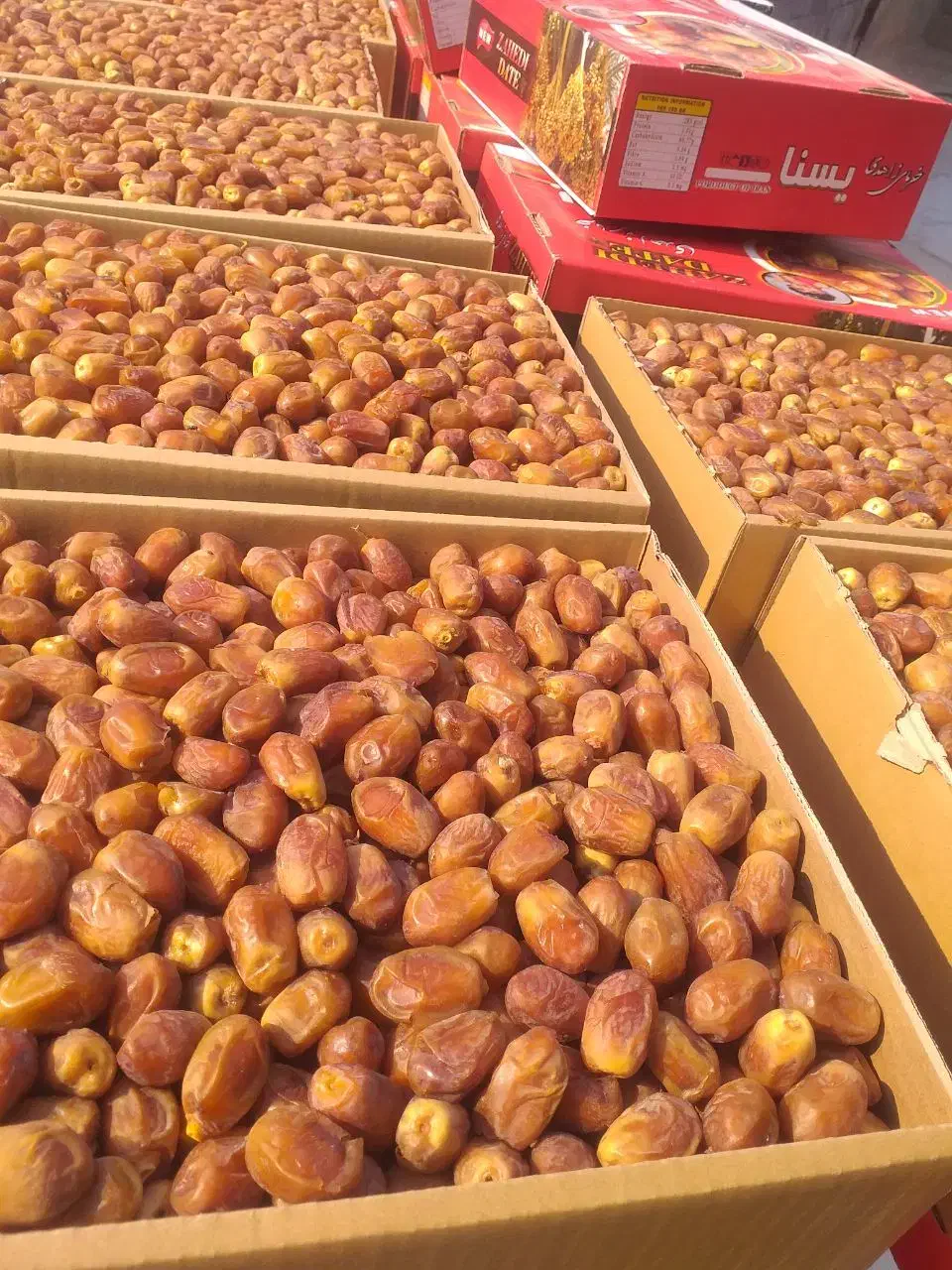 خرمارطب طوبی|خوردنی و آشامیدنی|مشهد, شهرک مهر آباد|دیوار