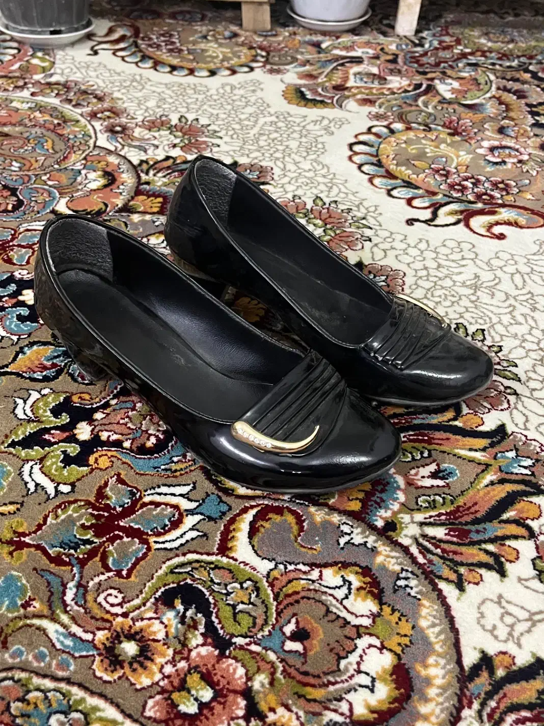 کفش|کیف، کفش، کمربند|مشهد, قائم|دیوار