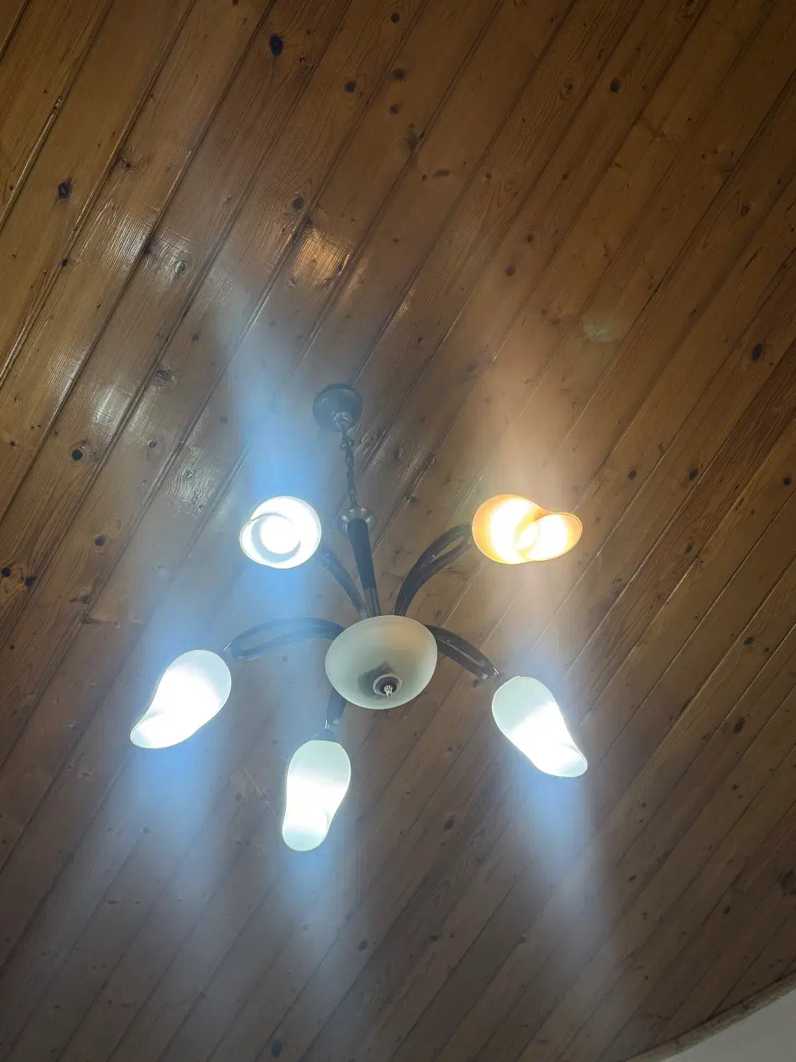 لوستر|لوستر و چراغ آویز|عباسآباد, |دیوار