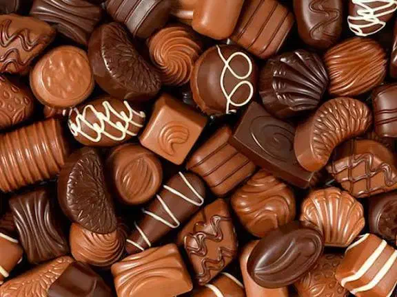 کارخانه شیرینی و شکلات|استخدام صنعتی، فنی، مهندسی|قزوین, |دیوار