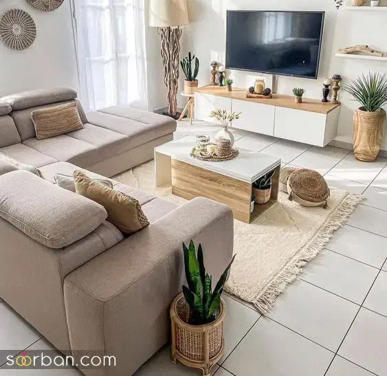 سلطان آباد|فعالیت داوطلبانه|شیراز, سلطان آباد|دیوار