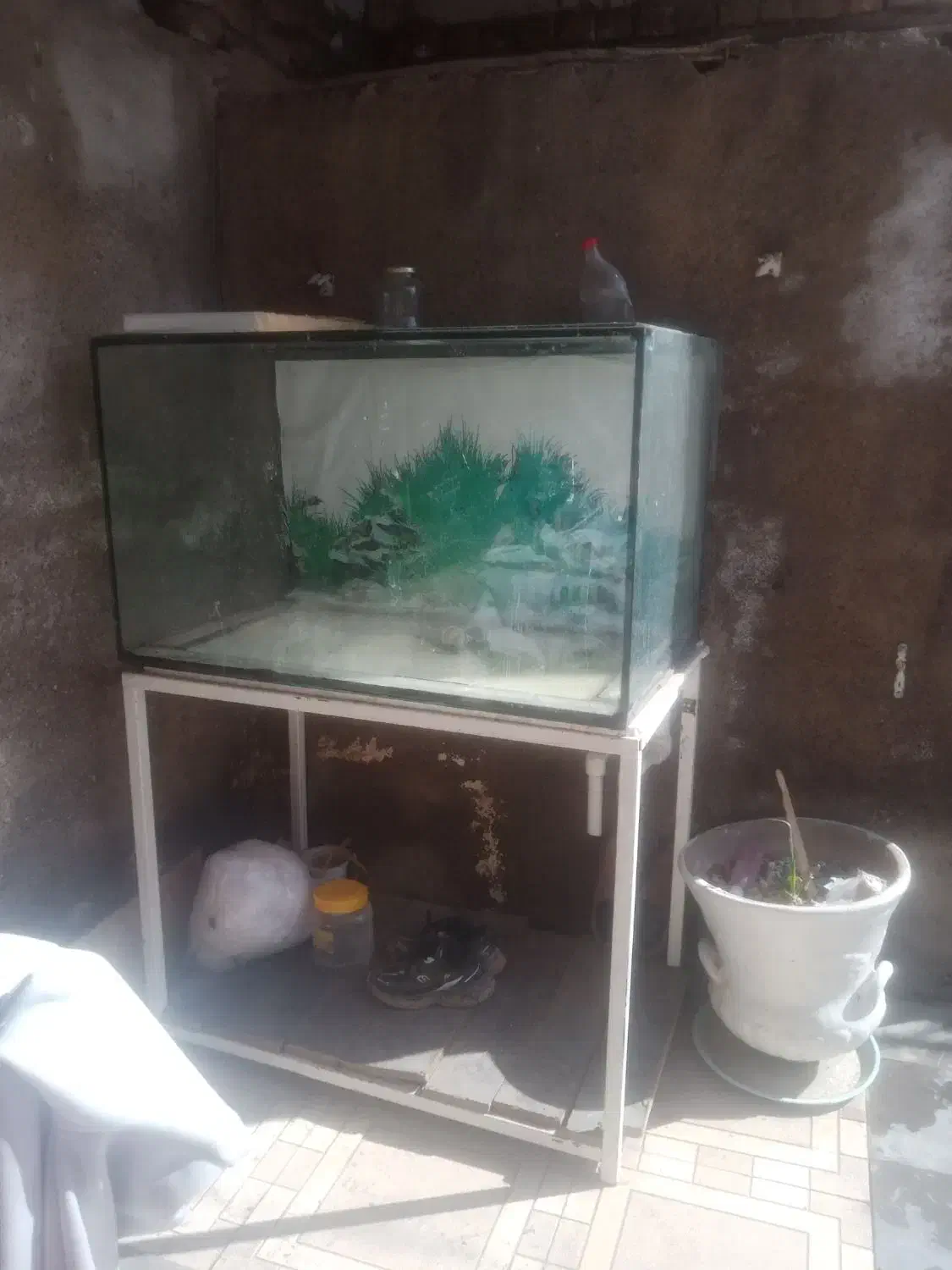 اکواریوم|ماهی|نیشابور, مازول|دیوار