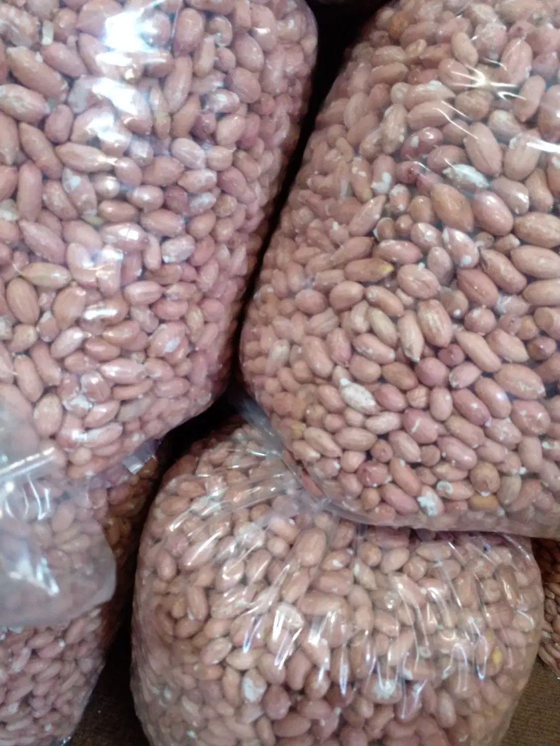 فروش فوری بادام درشت درجه یک آستانه|خوردنی و آشامیدنی|آستانه اشرفیه, |دیوار