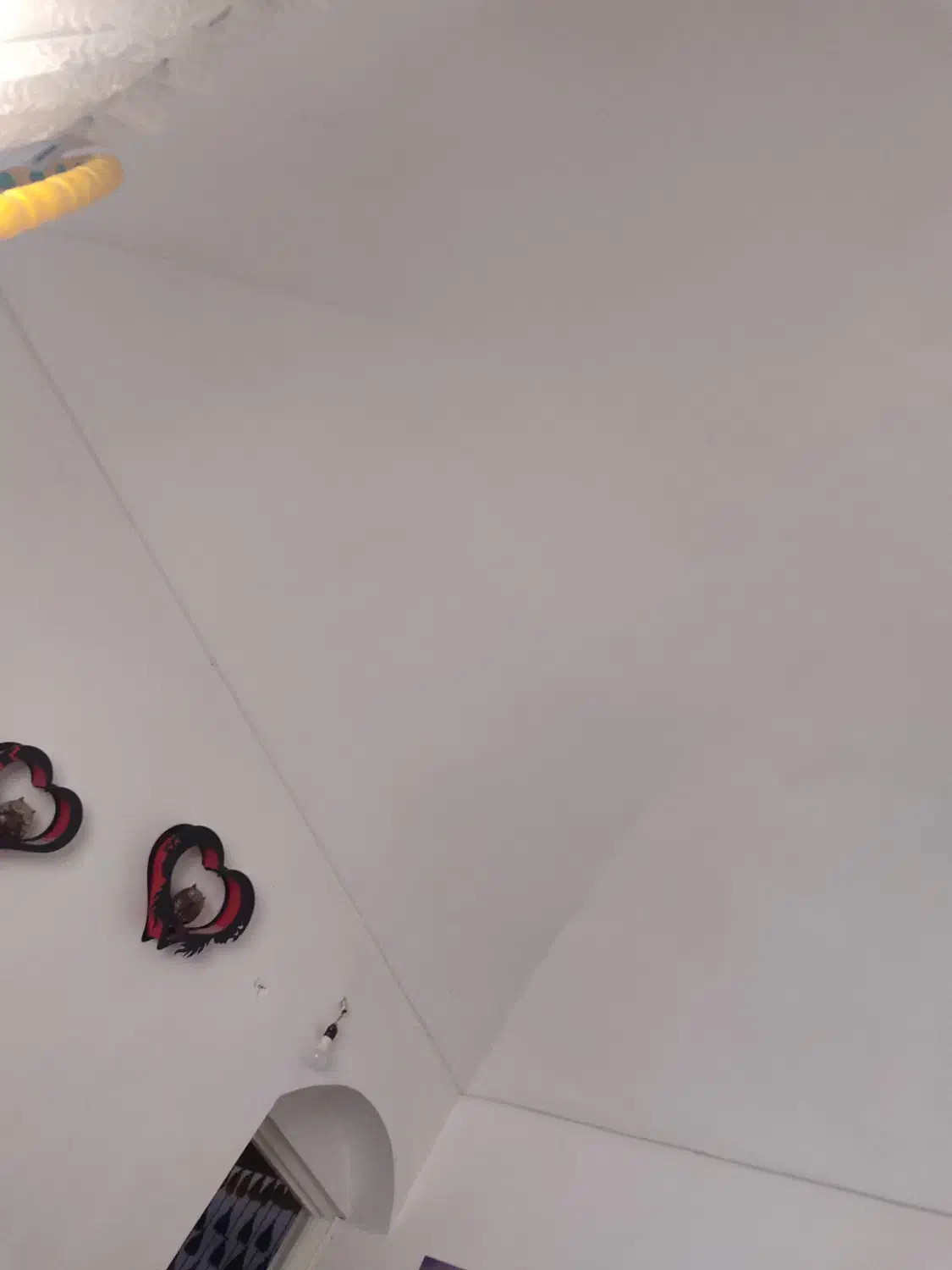 اجاره خونه ۵۰مترمربع|اجارهٔ خانه و ویلا|جیرفت, |دیوار