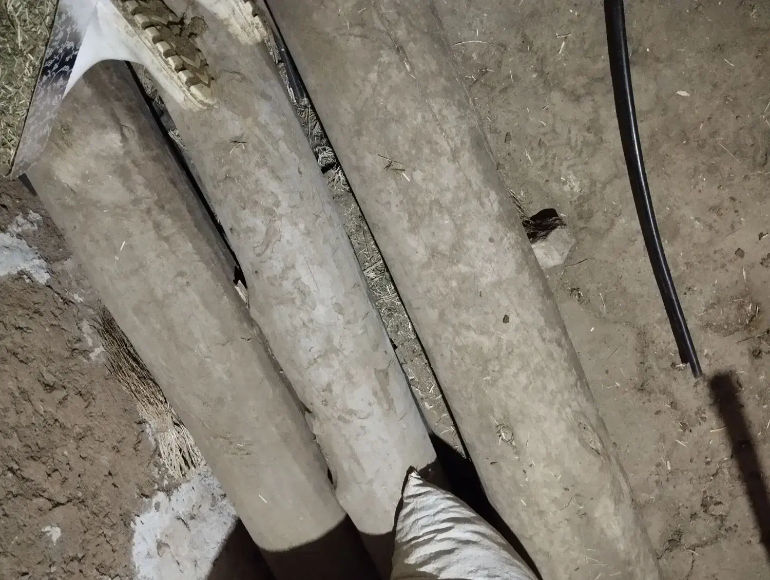 درخت چنار|مصالح و تجهیزات ساختمان|موچش, |دیوار