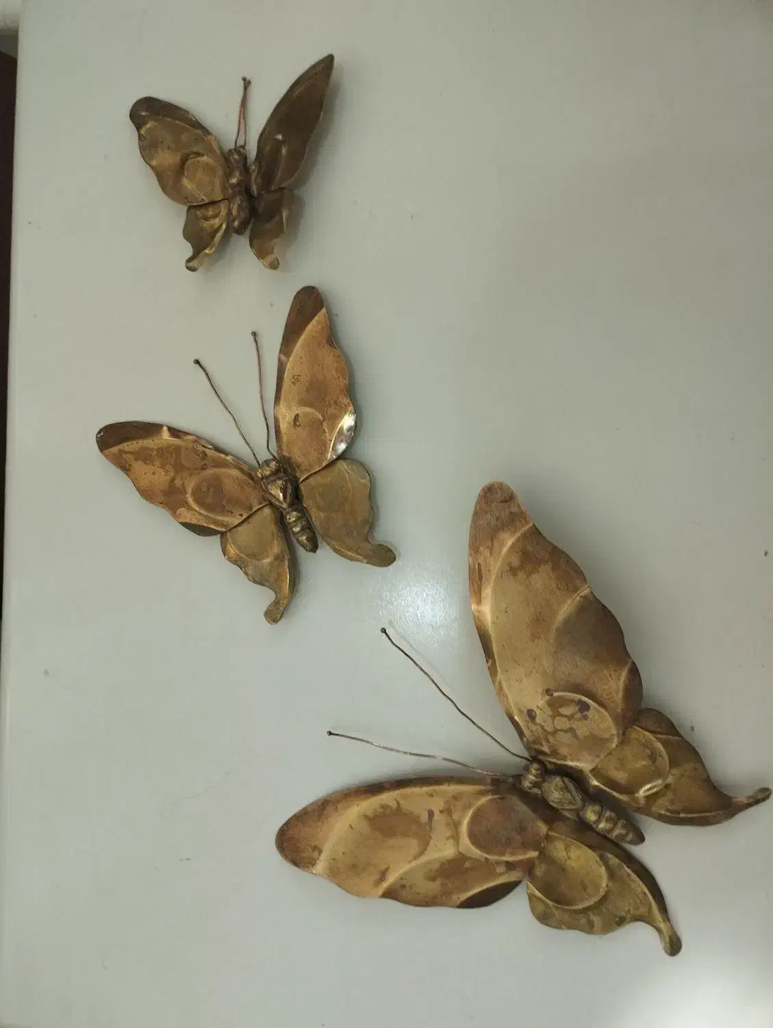 پروانه مسی دیواری|مجسمه، تندیس، ماکت|میبد, |دیوار