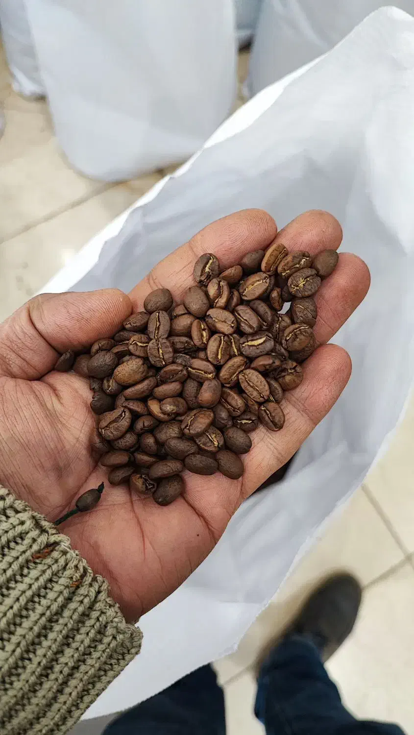 دان قهوه ، ویتنام ، اوگاندا ، برزیل ،کلمبیا|عمده‌فروشی|تهران, بازار|دیوار