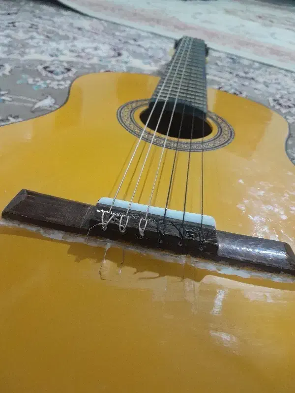 گیتار|گیتار، بیس، امپلیفایر|قوچان, |دیوار