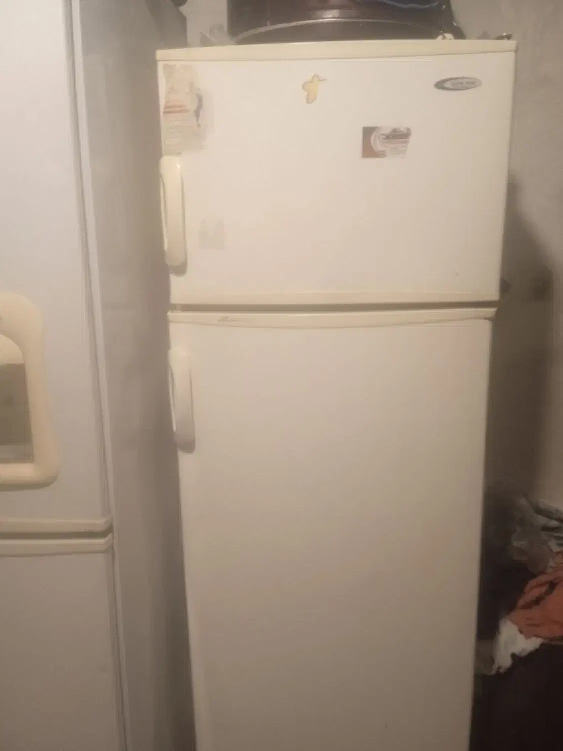 یخچال|یخچال و فریزر|مشهد, مهدی آباد|دیوار