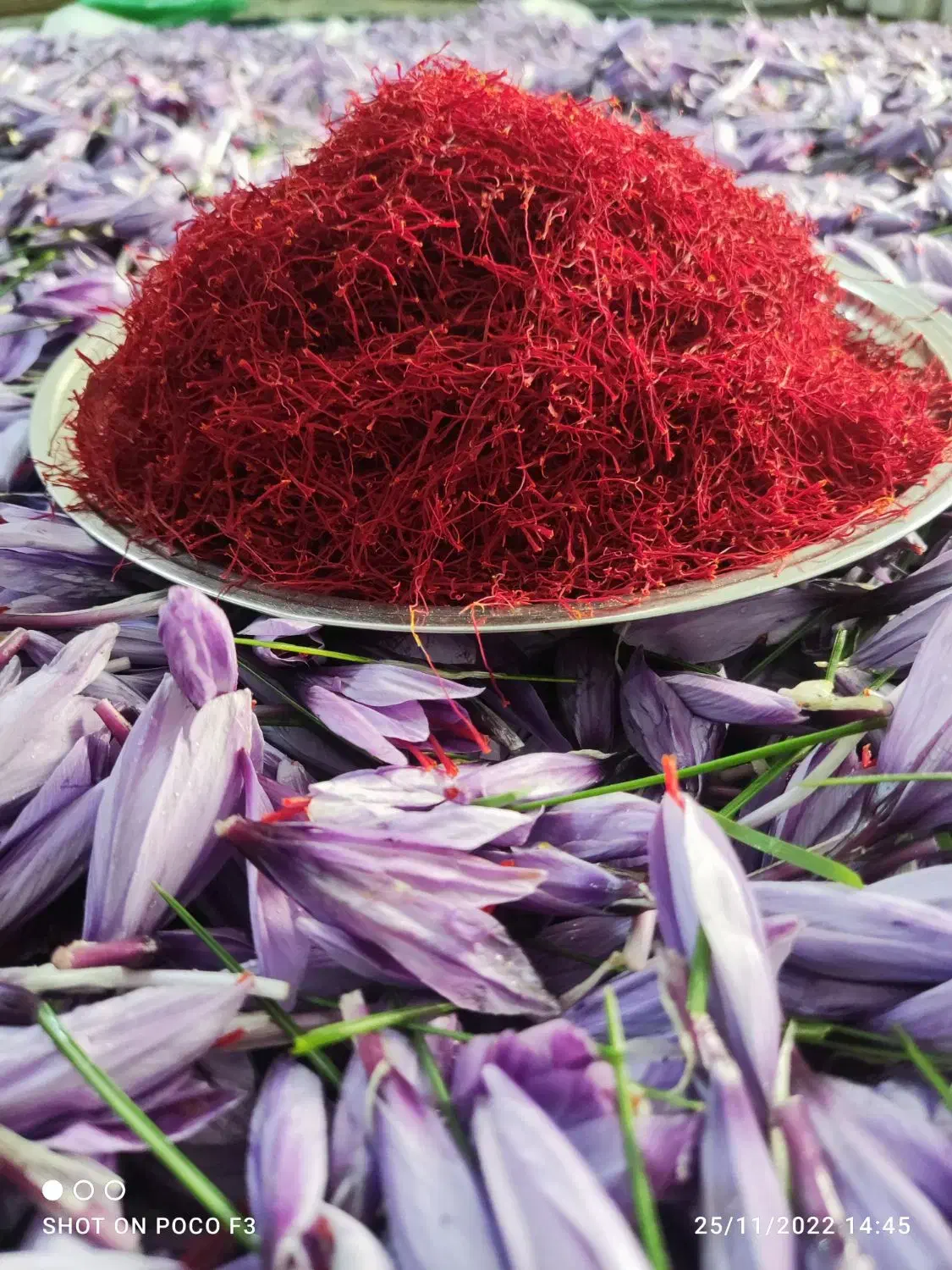 زعفران درجه یک محصول باغ خودمون زعفران  لرستان|خوردنی و آشامیدنی|لاهیجان, گلستان|دیوار
