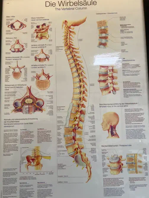 دستیار پزشک|استخدام درمانی، زیبایی، بهداشتی|تهران, نصرت|دیوار