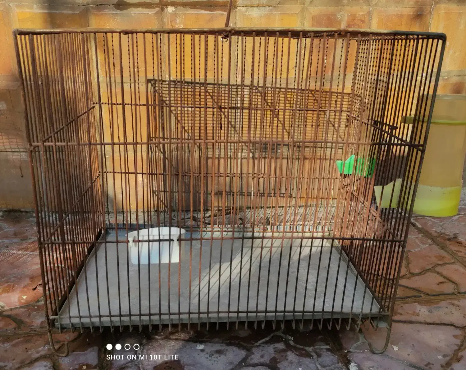 قفس قناری و مرغ عشق|لوازم جانبی حیوانات|فریدون‌کنار, |دیوار