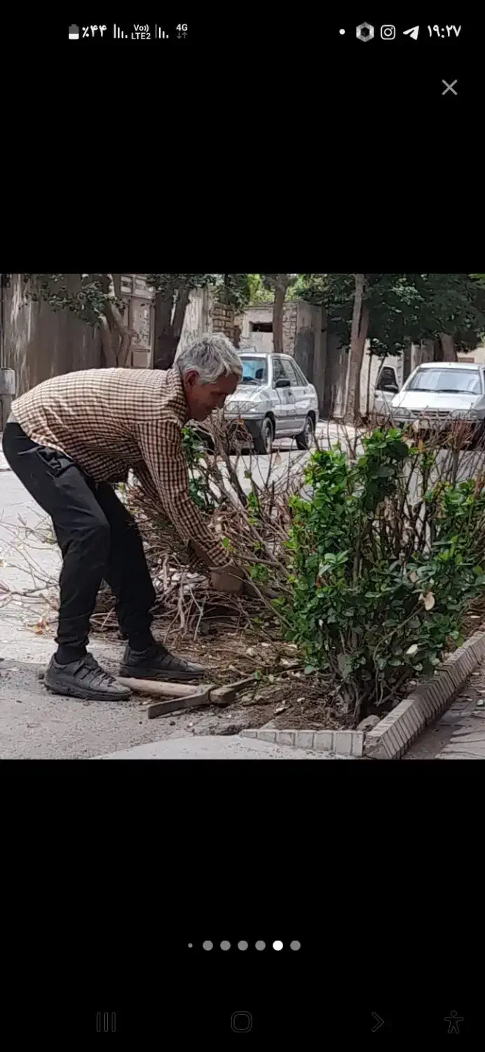 باغبانی و تیلرهرس در تمام نقاط مشهد|خدمات باغبانی و درختکاری|مشهد, توس (بلوار توس)|دیوار