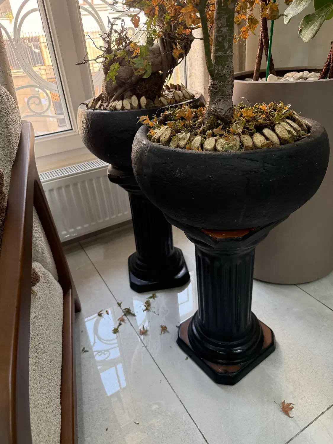 گلدان پایه دار|گل و گیاه طبیعی|تهران, سازمان برنامه جنوبی|دیوار