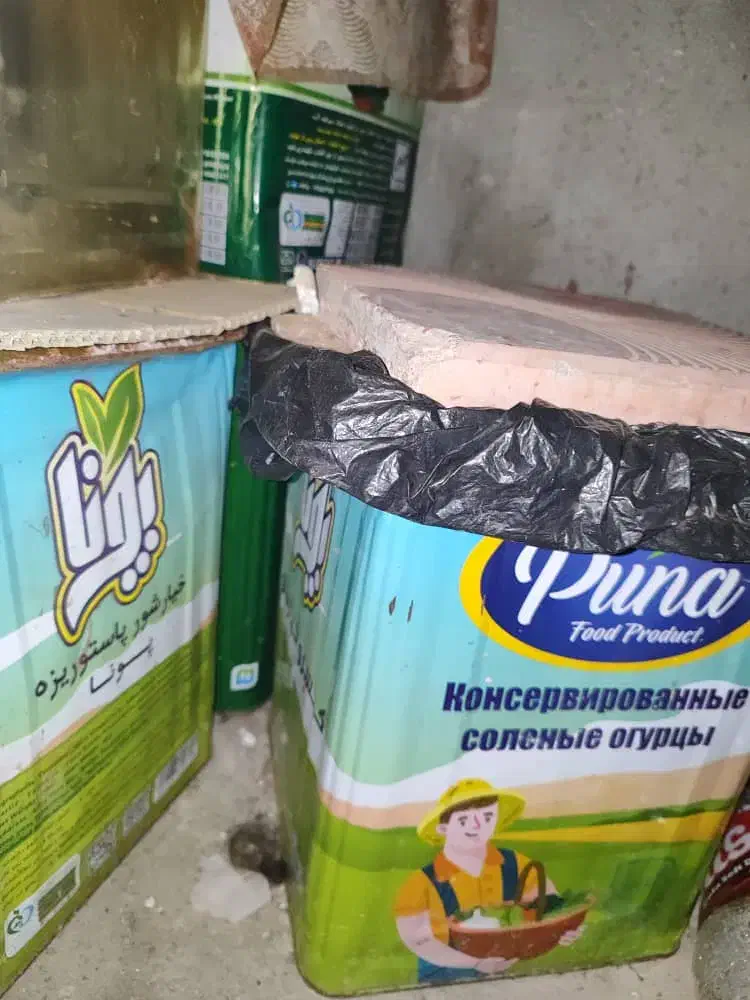 سوراغ درجه یک|خوردنی و آشامیدنی|میناب, |دیوار