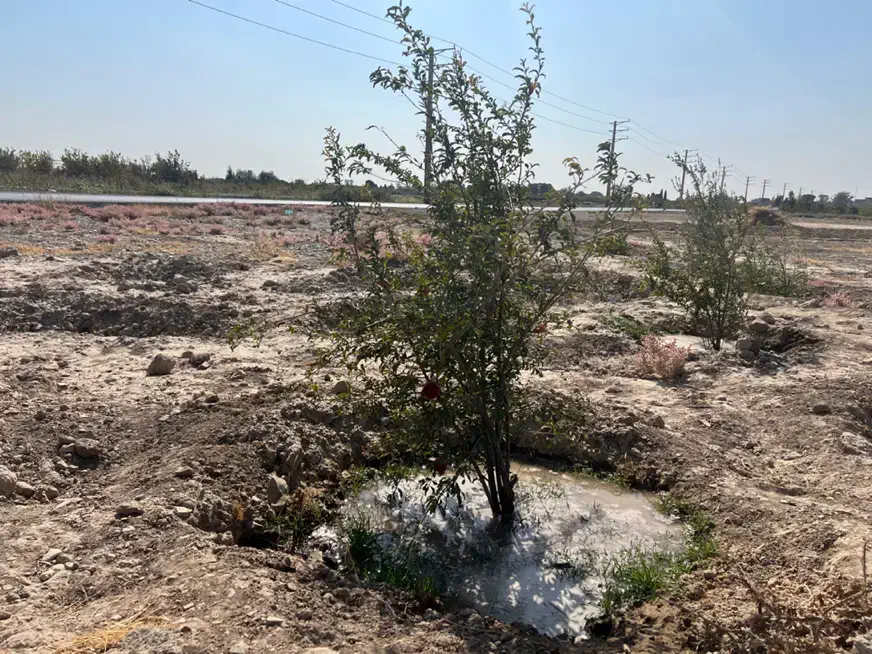 زمین ‌در بالابان شهریار|فروش زمین و ملک کلنگی|شهریار, اسکمان|دیوار