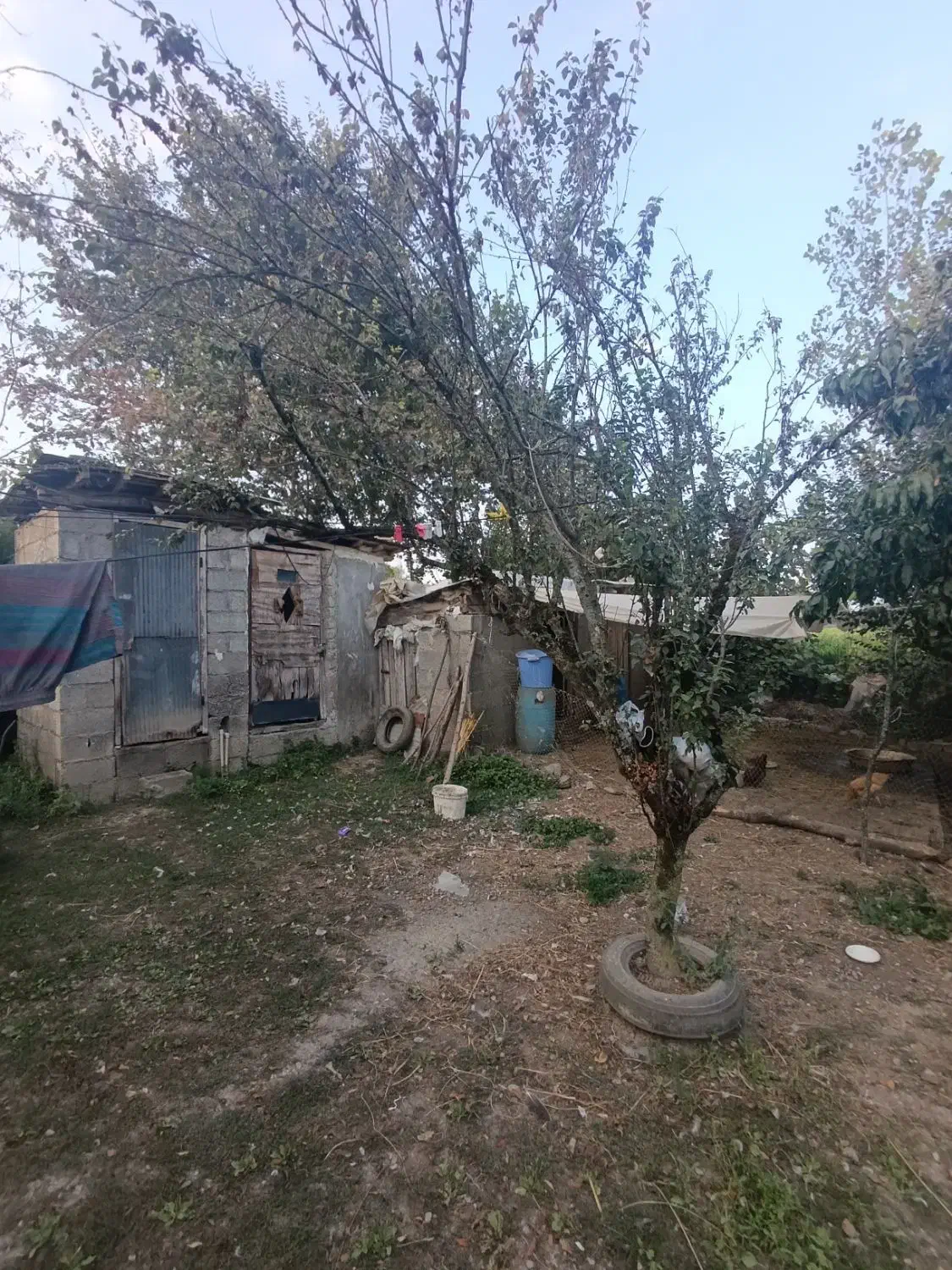 1000مترمربع کامل مسکونی با پروانه امتیازهانصب|فروش زمین و ملک کلنگی|شفت, |دیوار