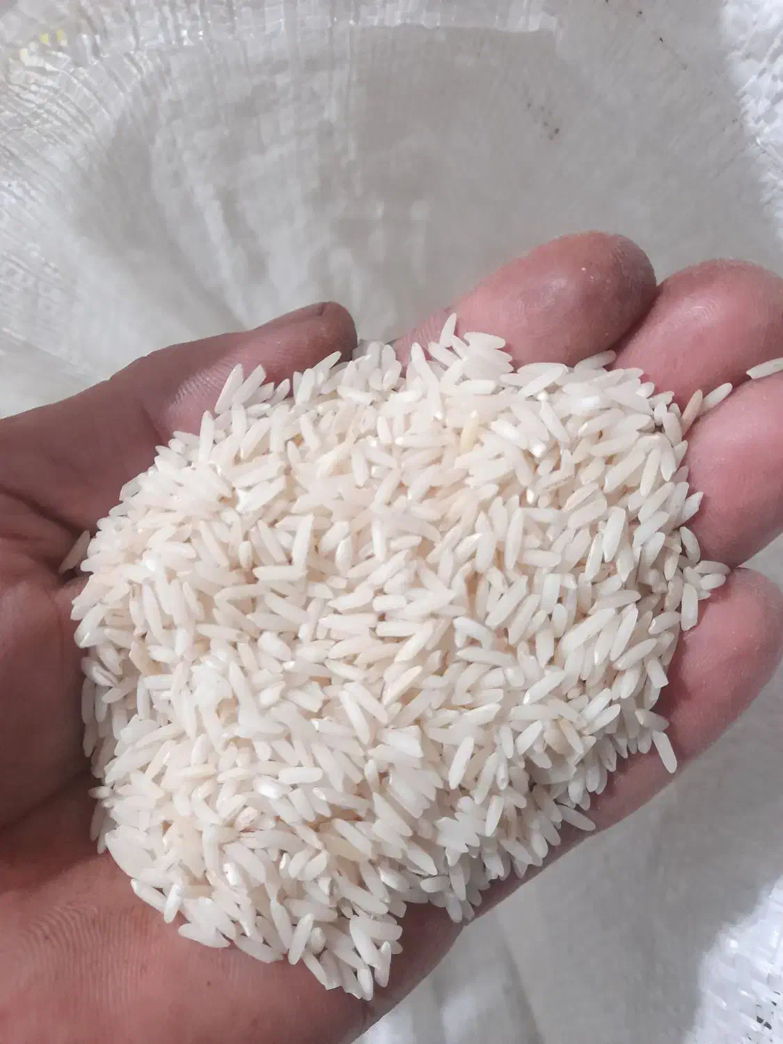 400کیلو برنج هاشمی|خوردنی و آشامیدنی|لنگرود, |دیوار