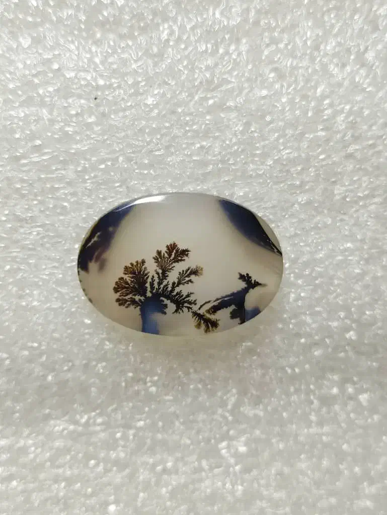 نگین شجر قائن|کلکسیون اشیاء عتیقه|قم, هنرستان|دیوار