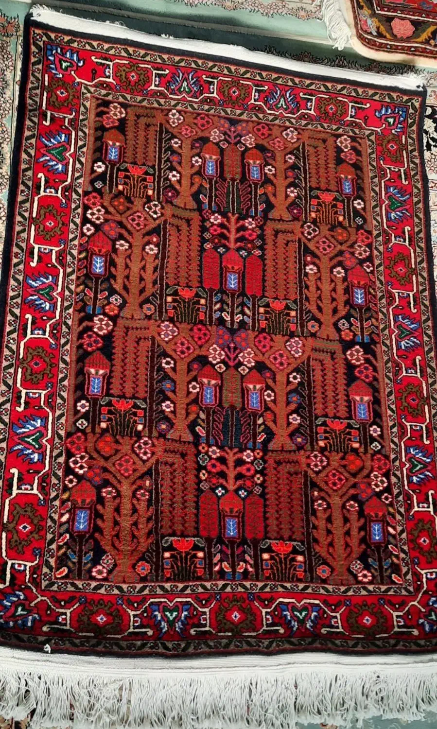 فرش دستبافت طرح سنقروکلیایی،کرک و پشم|فرش|کرمانشاه, |دیوار