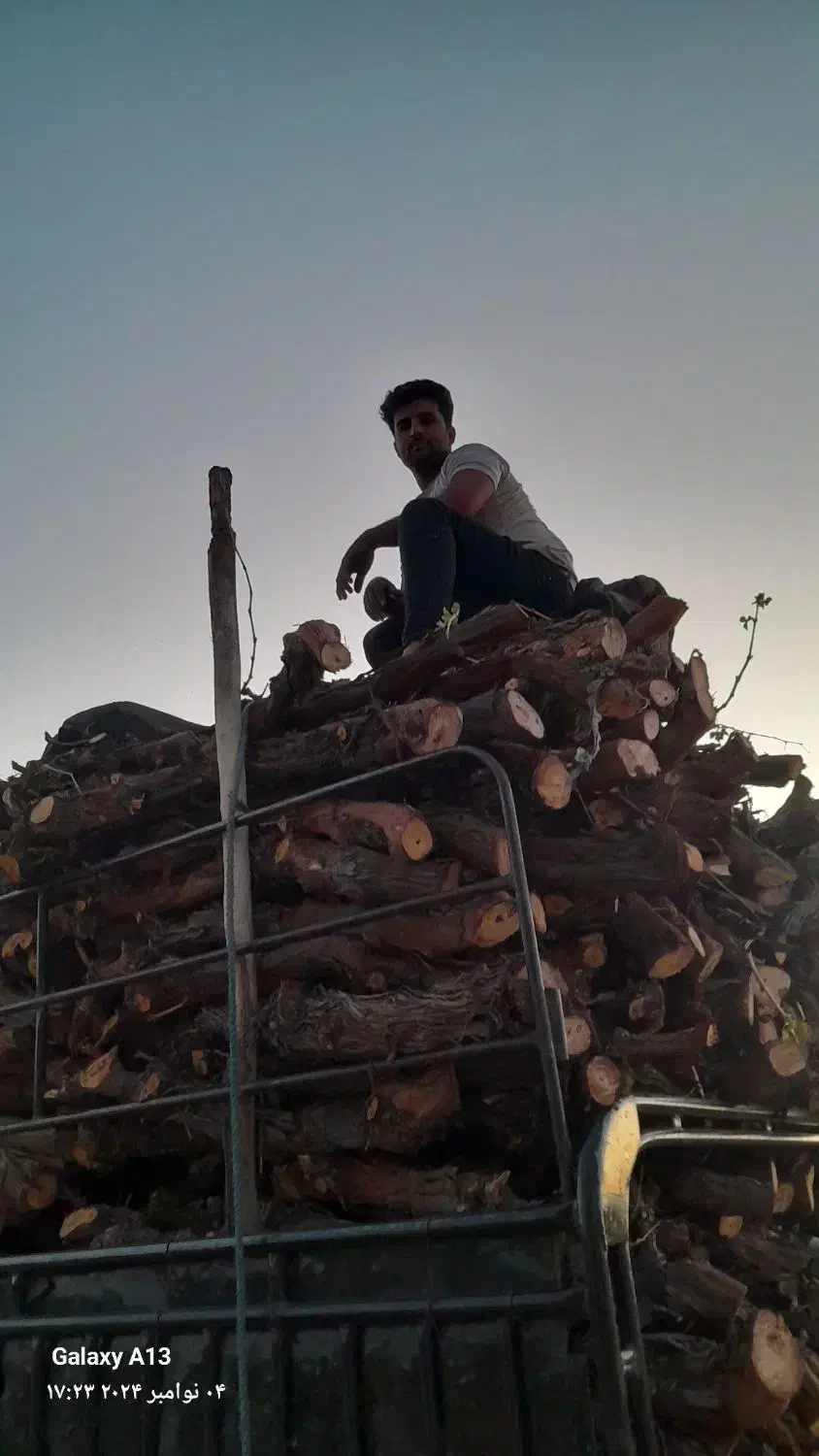 خرید چوب ضایعاتی کوار|خدمات باغبانی و درختکاری|کوار, |دیوار