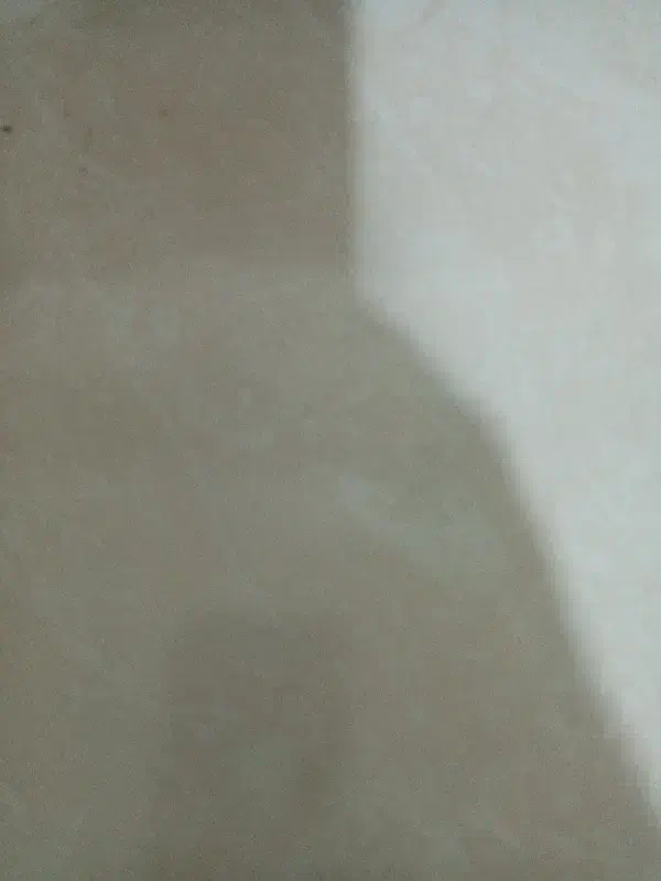 کارگر برای سنگ کاری|استخدام معماری، عمران و ساختمانی|اردبیل, |دیوار