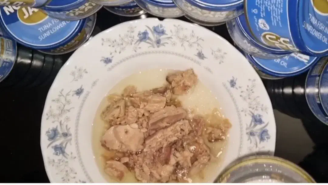 حراج تن ماهی و رب گوجه فرنگی|حراج|کاشان, گارزگاه|دیوار