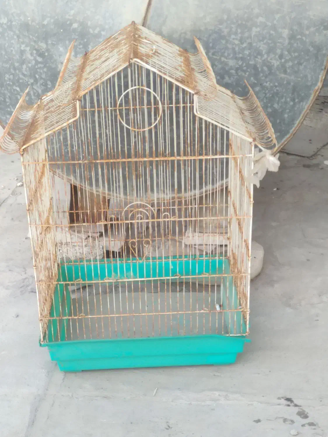 دو عدد قفس پرونده بزرگ|لوازم جانبی حیوانات|بوشهر, |دیوار