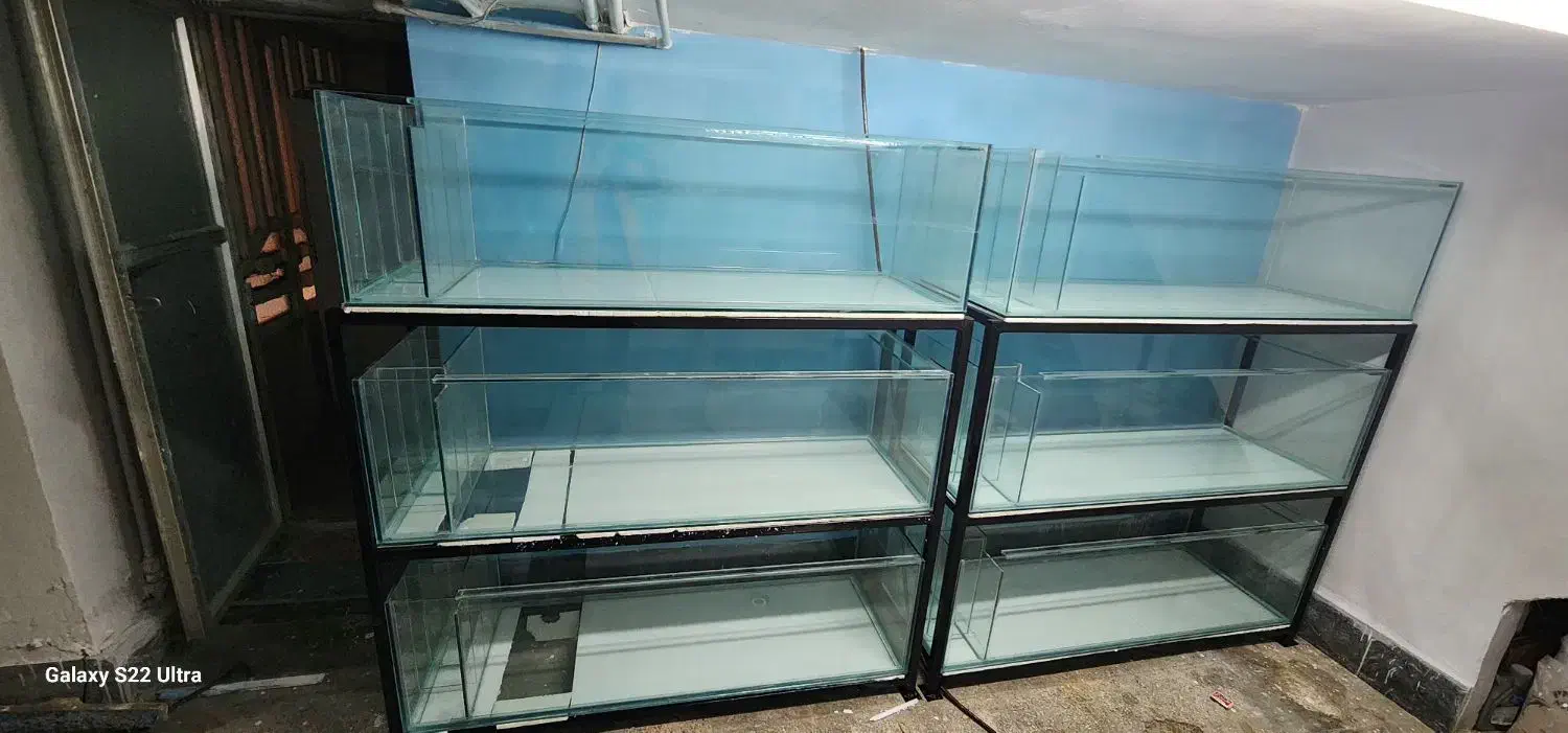 اکواریوم ۳طبقه|ماهی|مشهد, میعاد (شهرک غرب)|دیوار