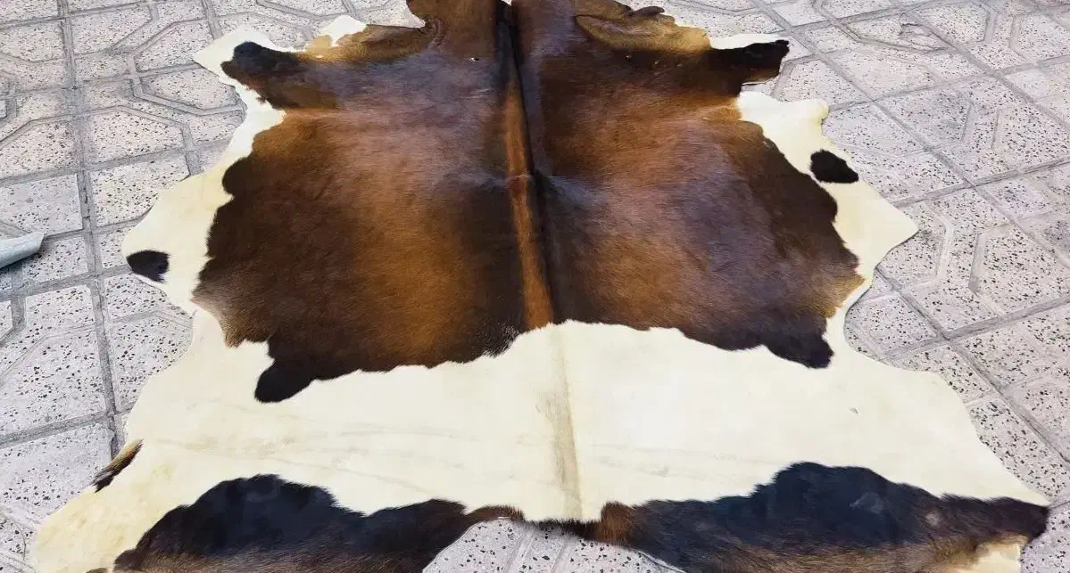 پوست تزیینی گاو|فرش|مشهد, هنرستان|دیوار