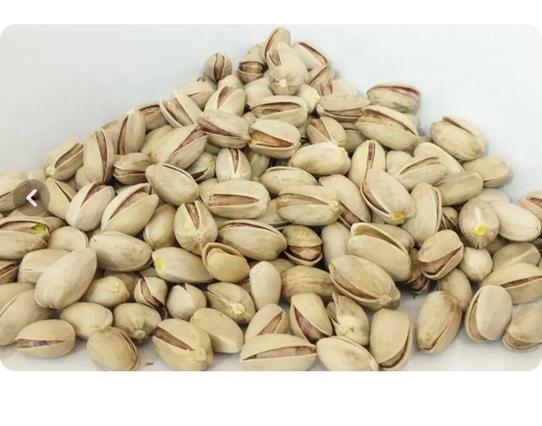 پسته اکبری درجه یک|خوردنی و آشامیدنی|انار, |دیوار