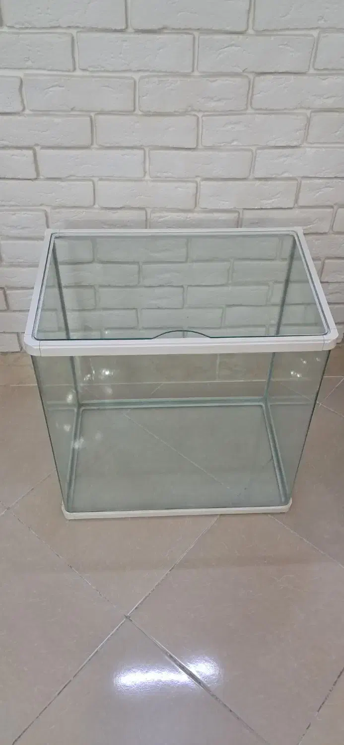 اکواریوم شیشه خم ۵۶×۳۵×۵۵|ماهی|قم, پردیسان|دیوار