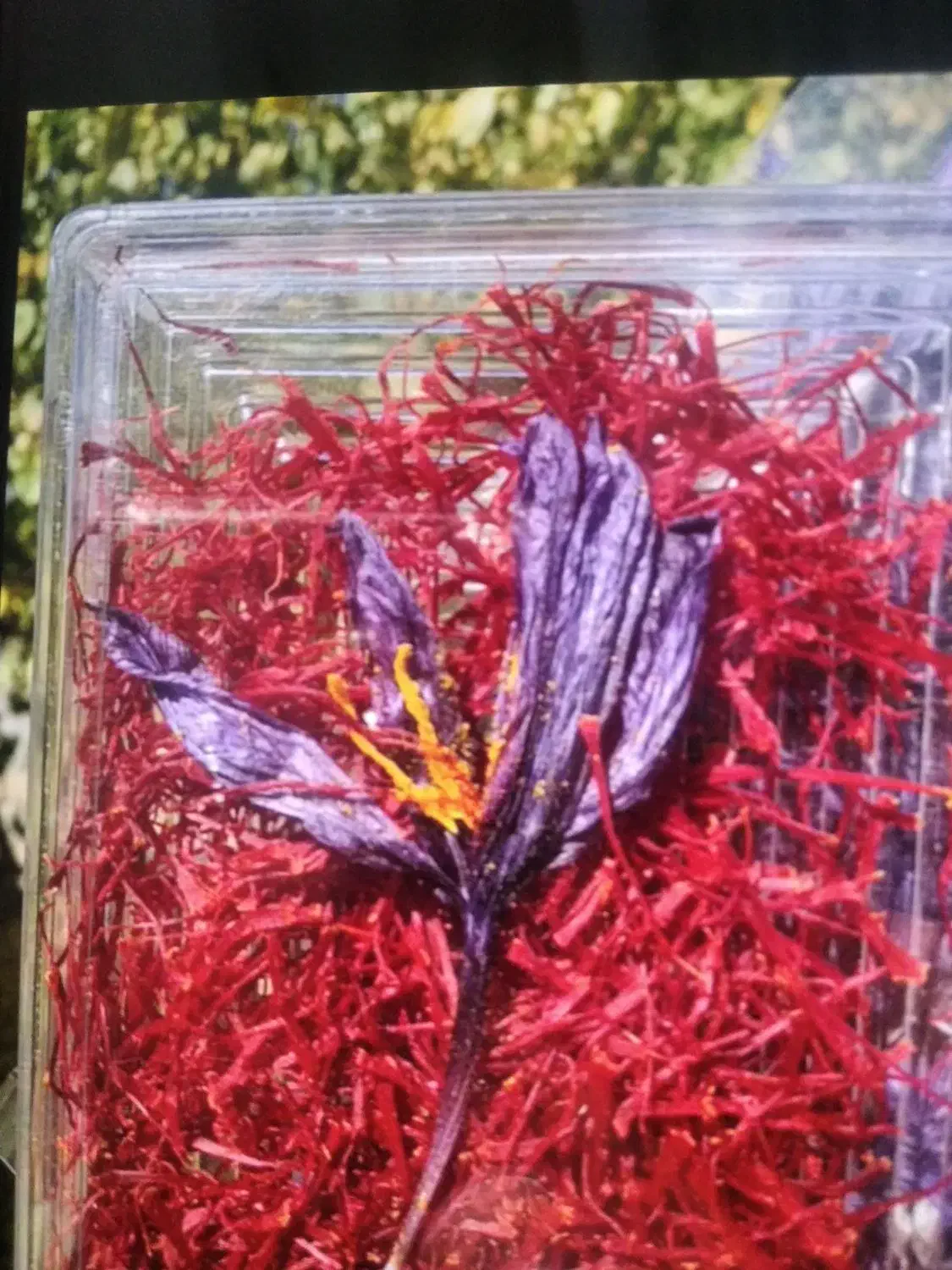 فروش زعفران برداشت خودمان اصل|خوردنی و آشامیدنی|بوکان, |دیوار