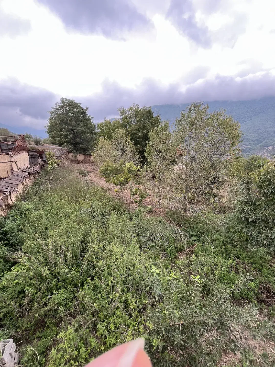 فروش زمین در روستای ولیکبن منطقه دودانگه|فروش زمین و ملک کلنگی|فریم, |دیوار