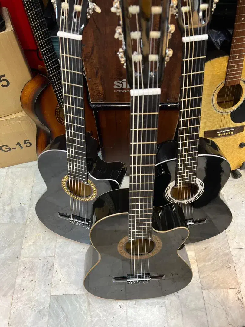 گیتار مول کاتوی c2|گیتار، بیس، امپلیفایر|تهران, شیخ هادی|دیوار