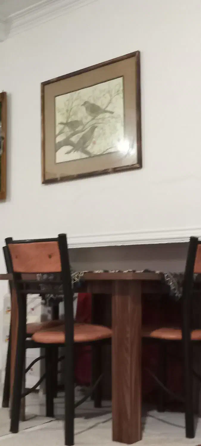 میز و صندلی|میز و صندلی غذاخوری|تنکابن, |دیوار